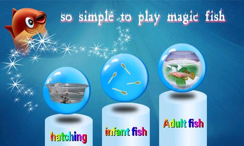 Stages of Magic Stages of Magic